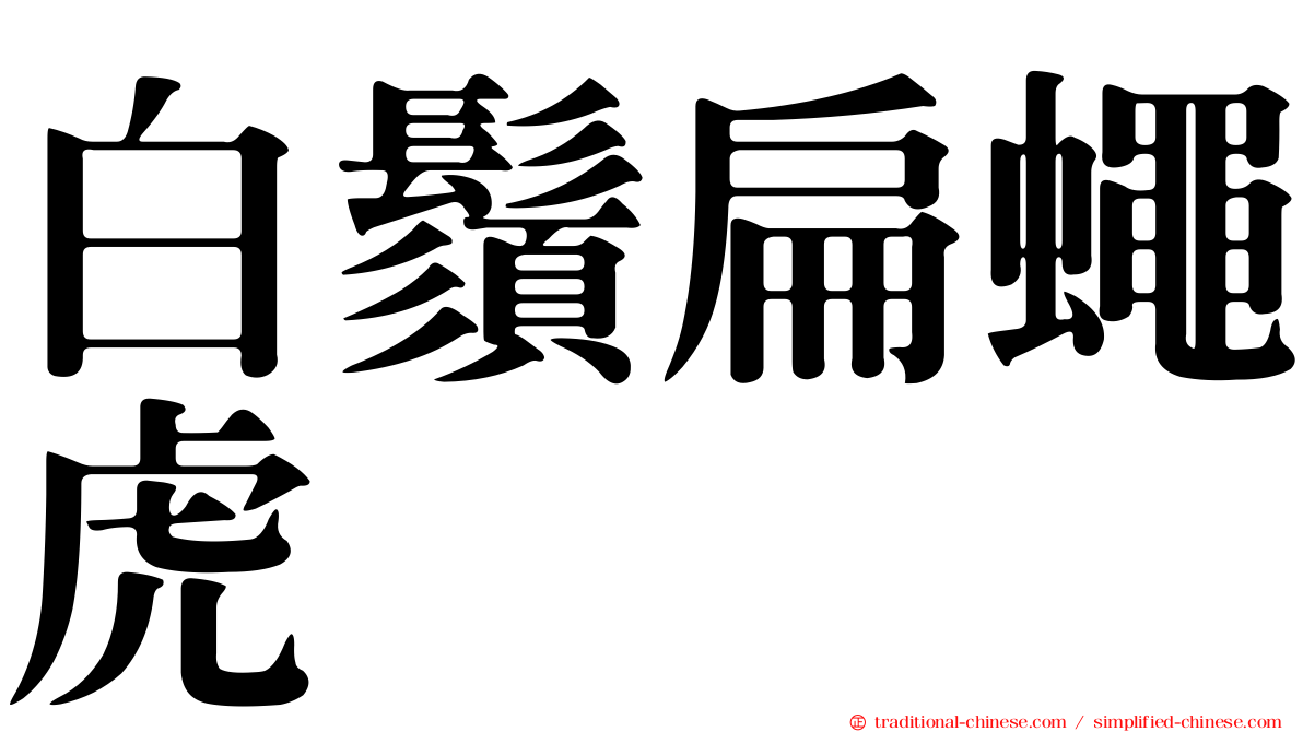 白鬚扁蠅虎