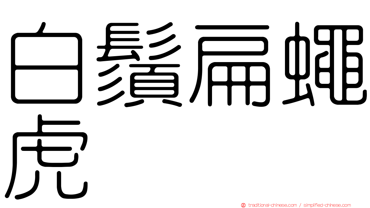 白鬚扁蠅虎