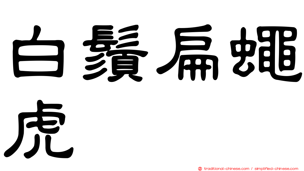 白鬚扁蠅虎