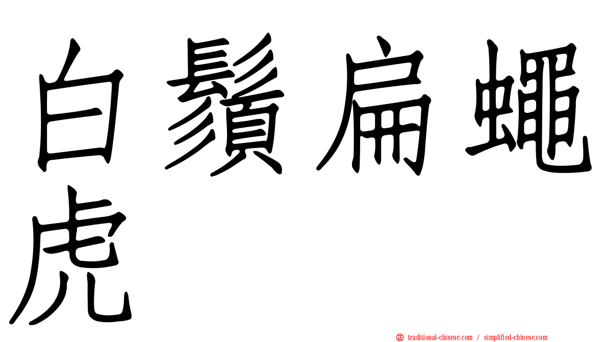 白鬚扁蠅虎