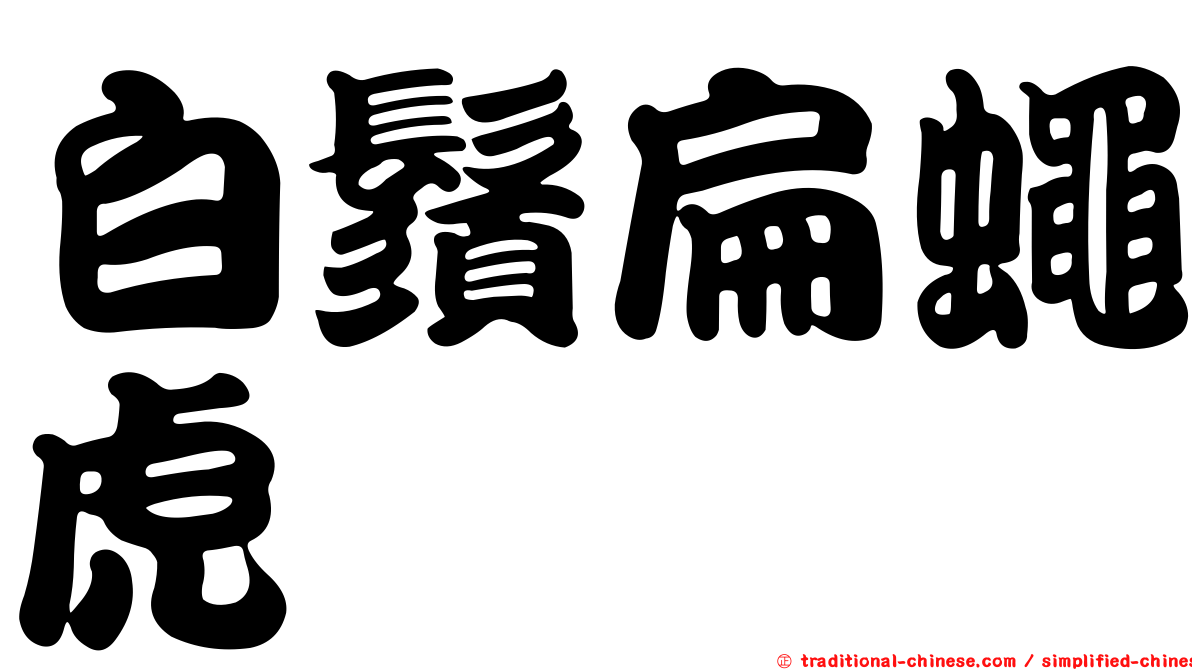 白鬚扁蠅虎