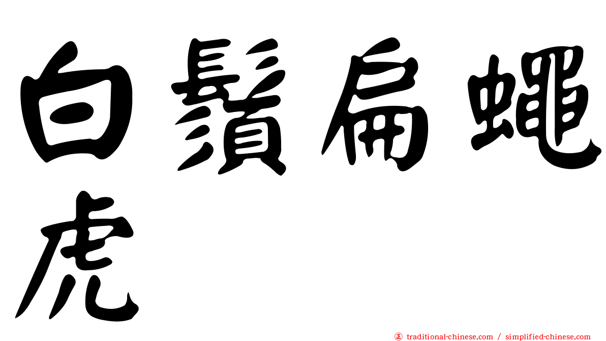 白鬚扁蠅虎