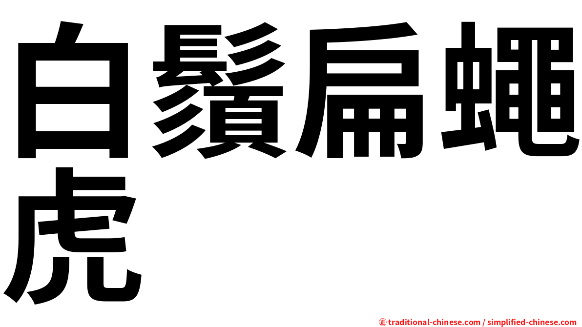 白鬚扁蠅虎