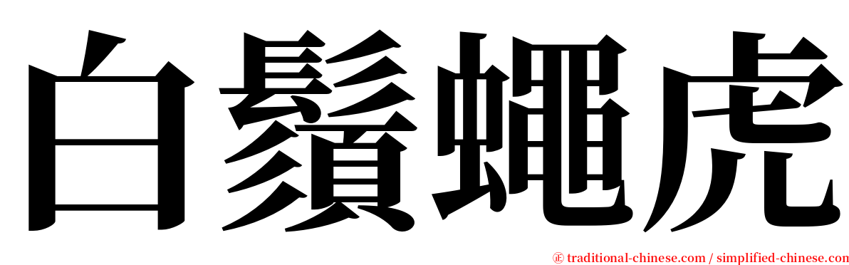 白鬚蠅虎 serif font