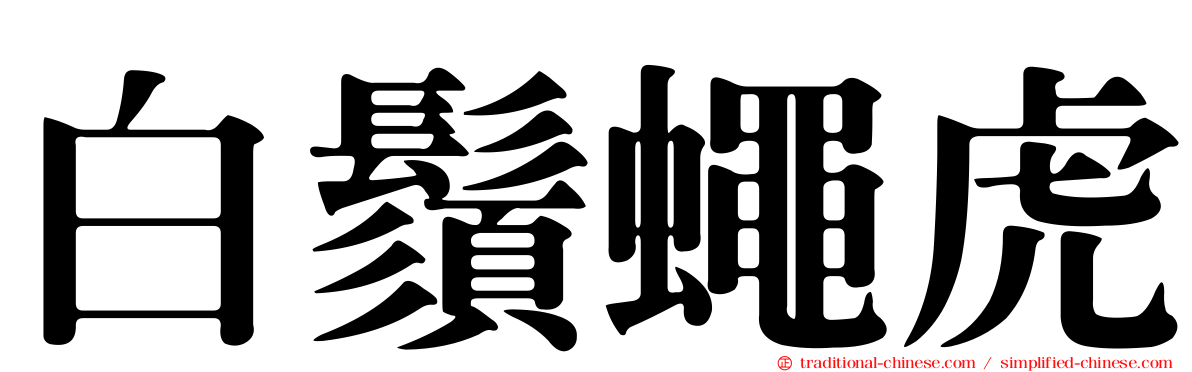 白鬚蠅虎