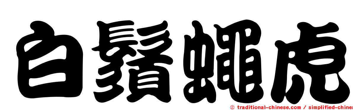 白鬚蠅虎