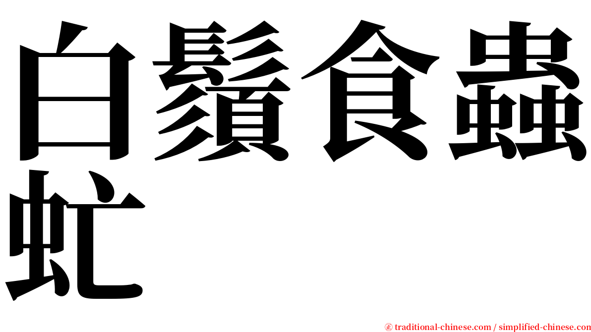 白鬚食蟲虻 serif font