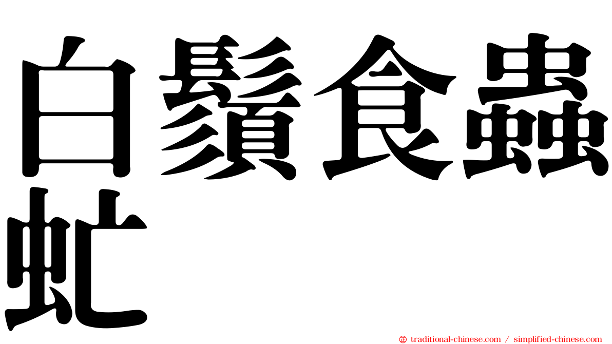 白鬚食蟲虻
