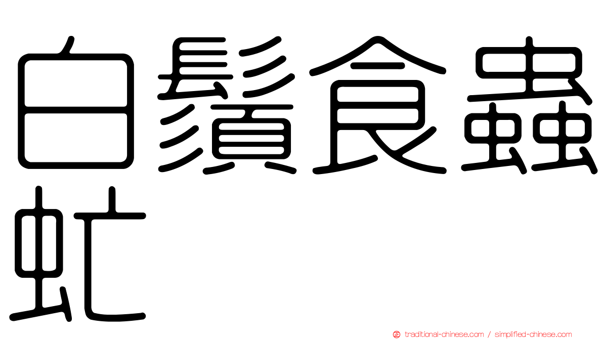 白鬚食蟲虻