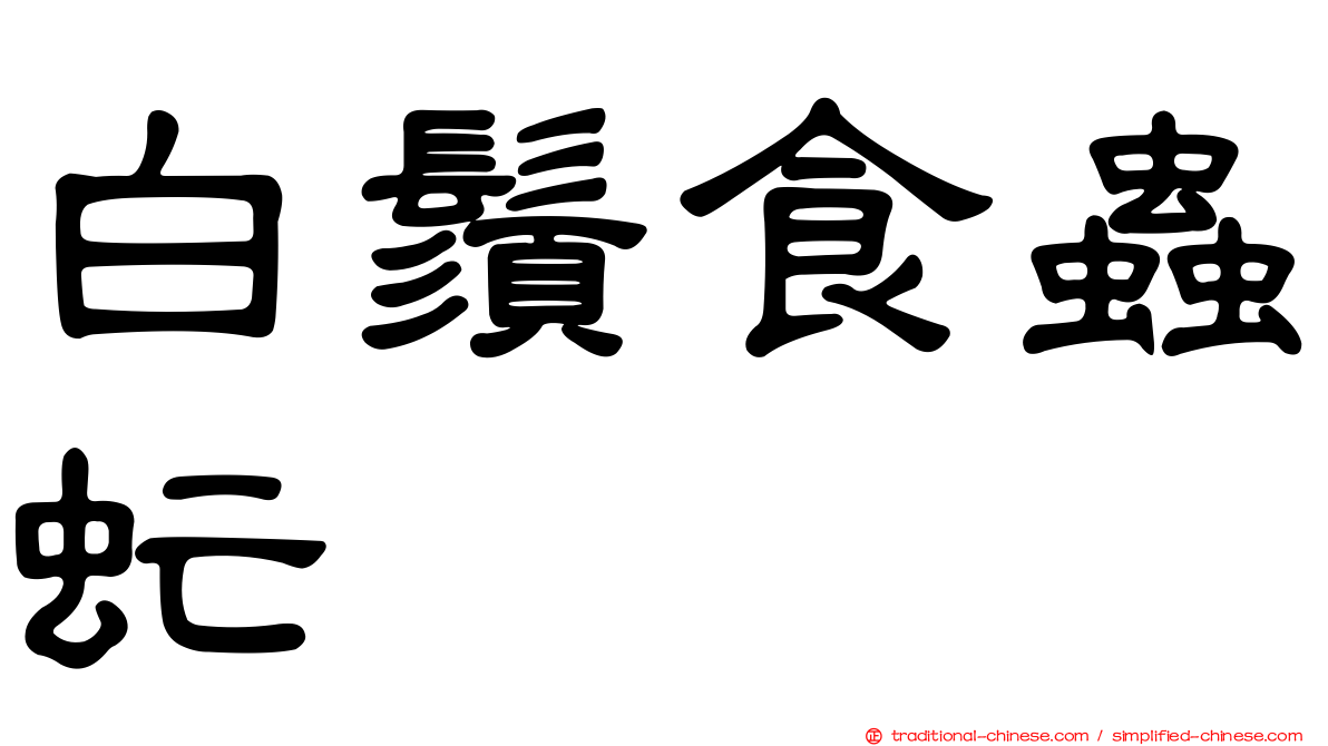 白鬚食蟲虻