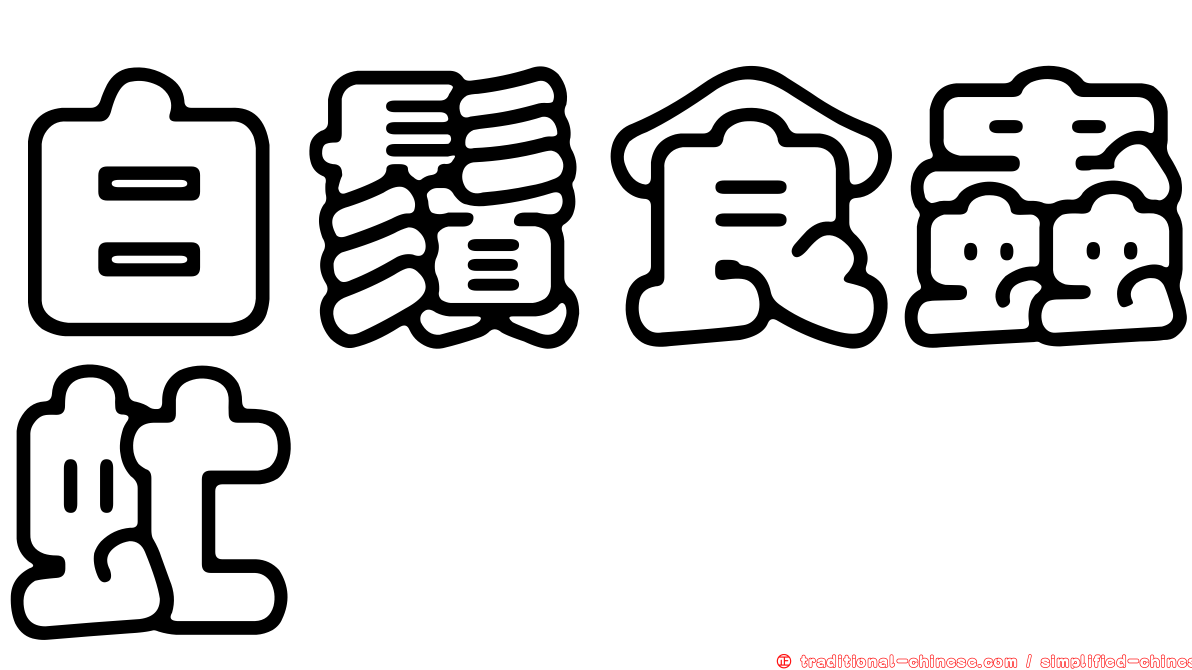 白鬚食蟲虻