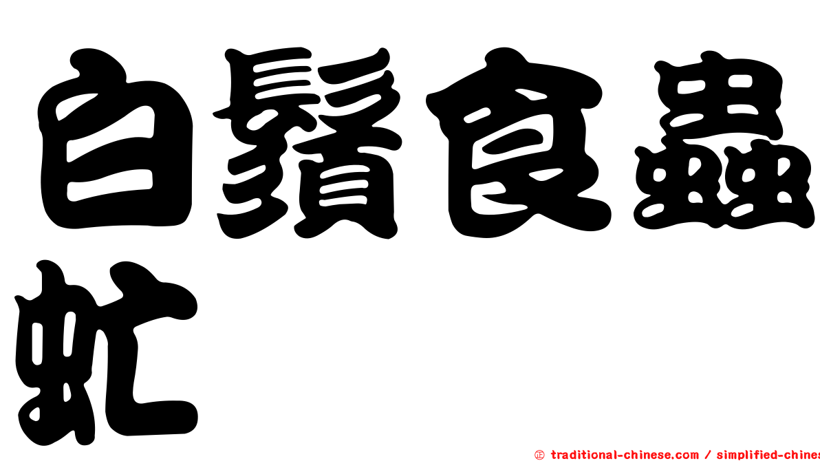 白鬚食蟲虻