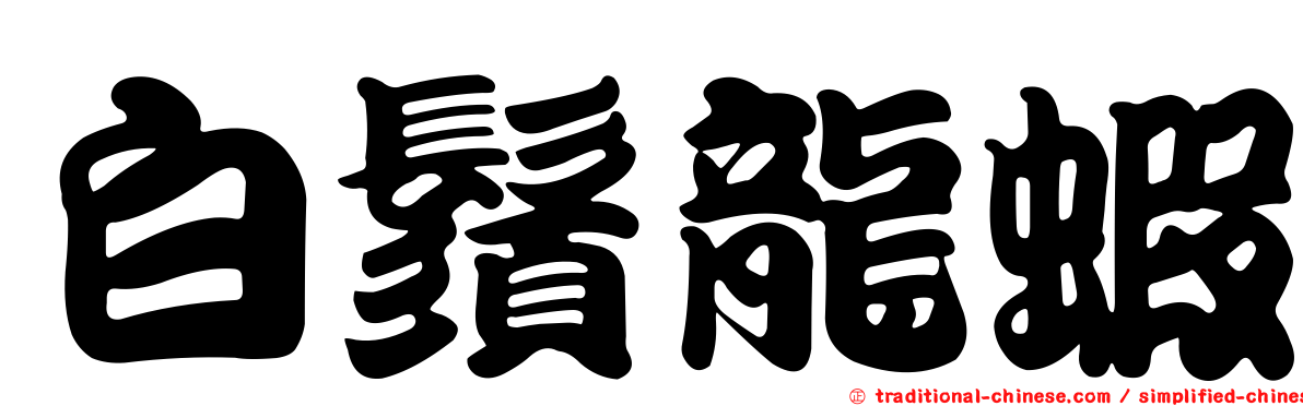 白鬚龍蝦