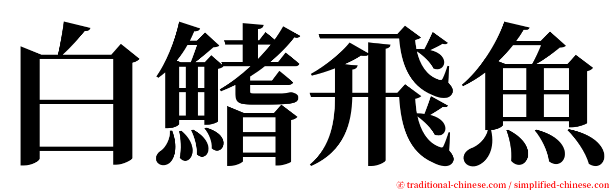 白鰭飛魚 serif font