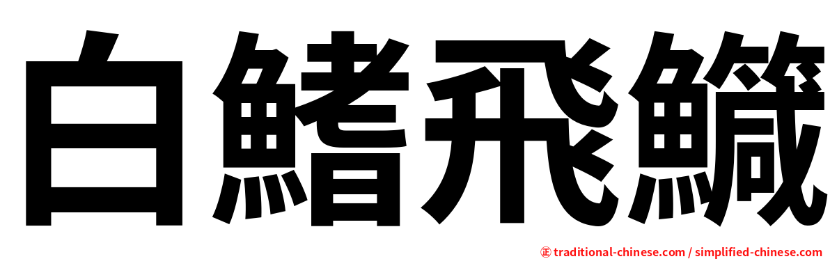 白鰭飛鱵
