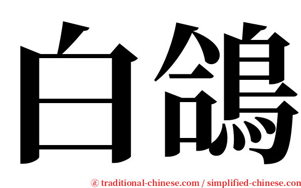 白鴿 serif font