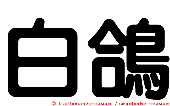 白鴿