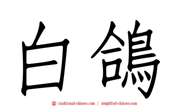 白鴿