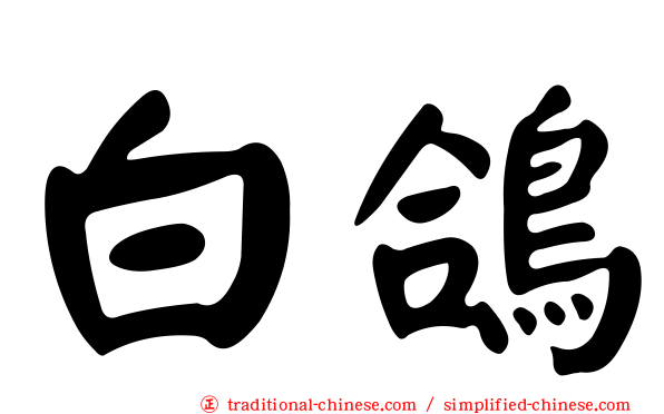 白鴿
