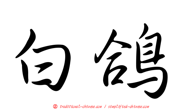 白鴿