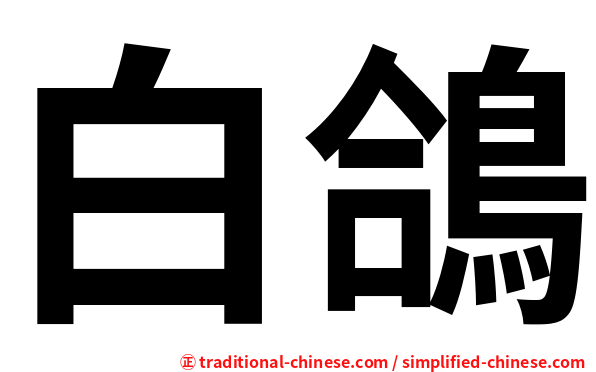 白鴿