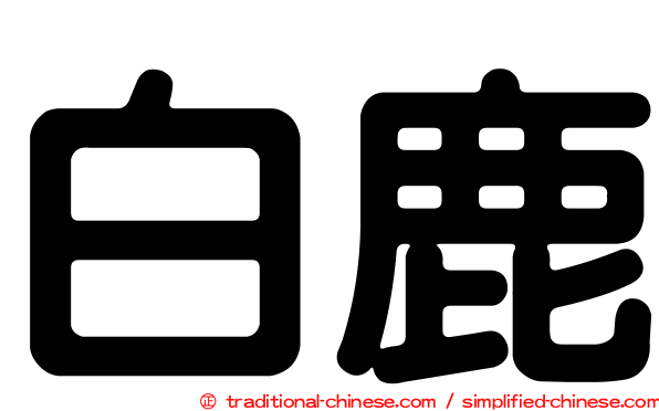 白鹿