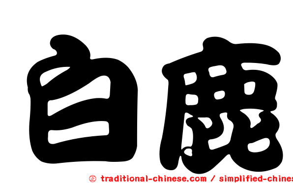 白鹿