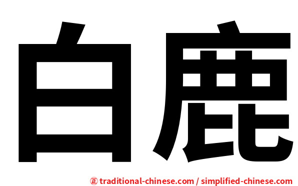 白鹿