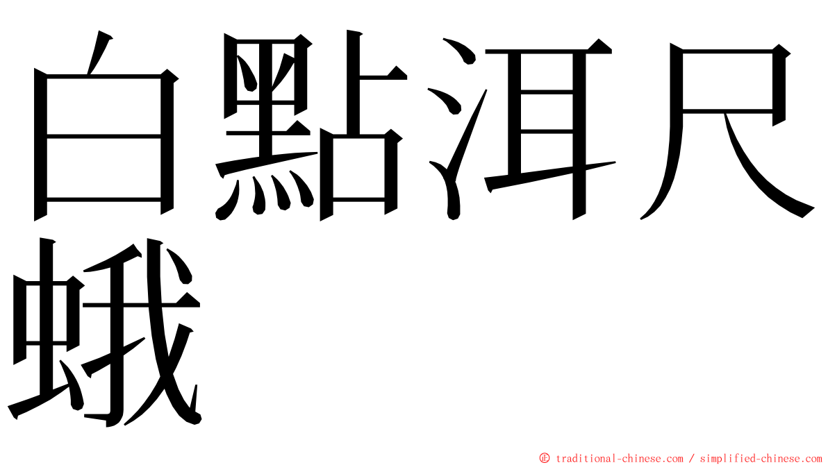 白點洱尺蛾 ming font