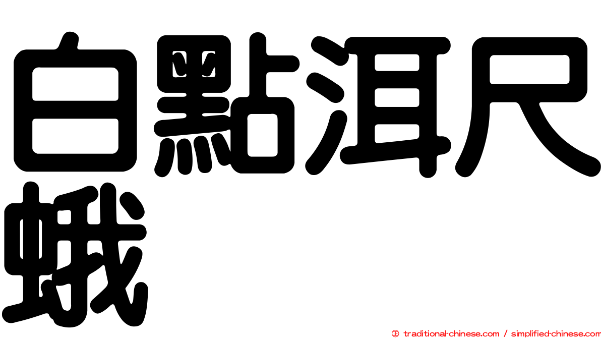 白點洱尺蛾