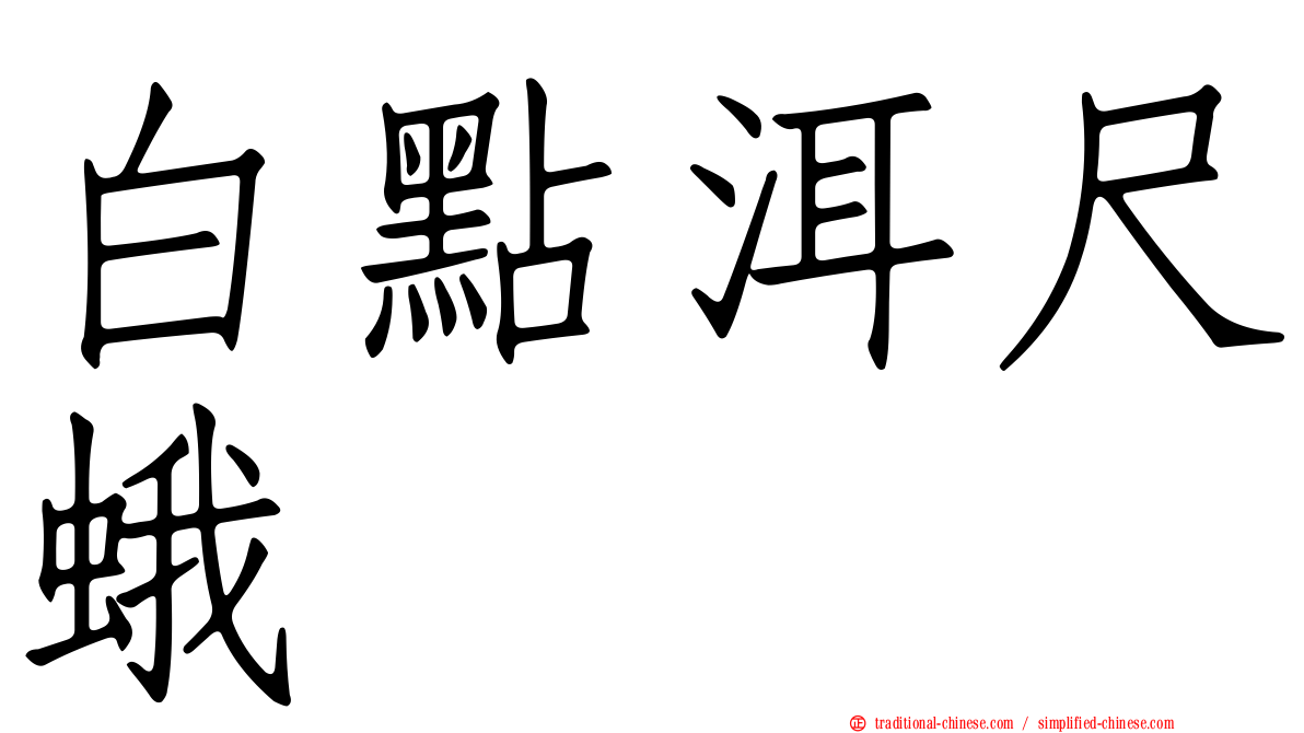 白點洱尺蛾