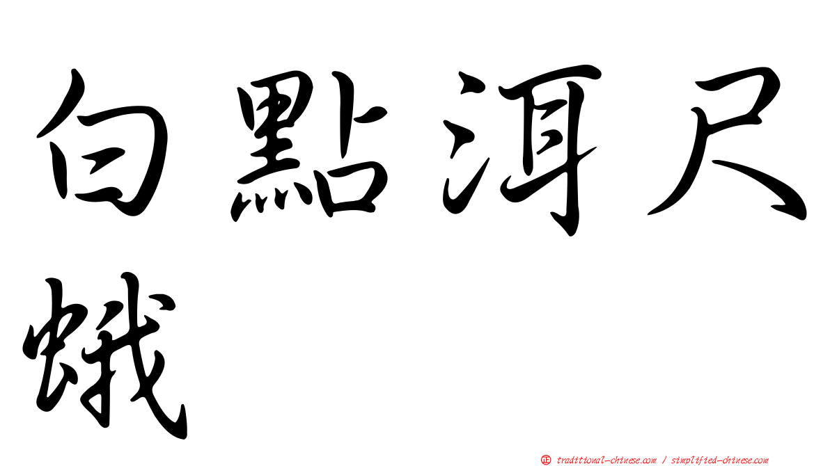 白點洱尺蛾