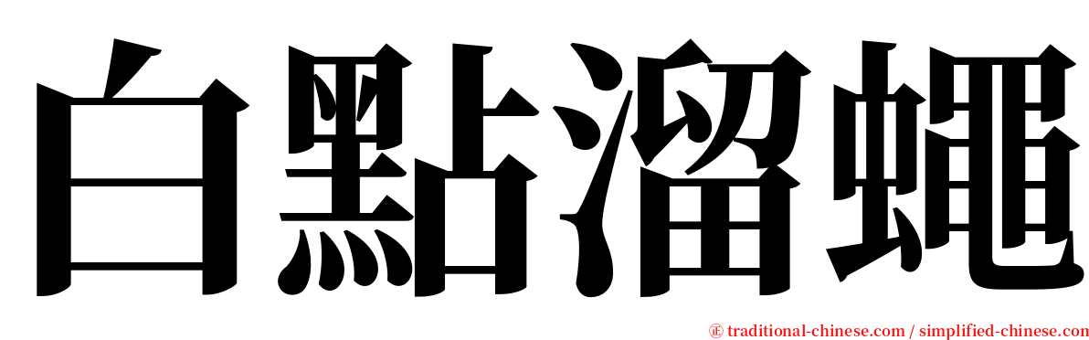 白點溜蠅 serif font