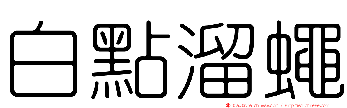白點溜蠅