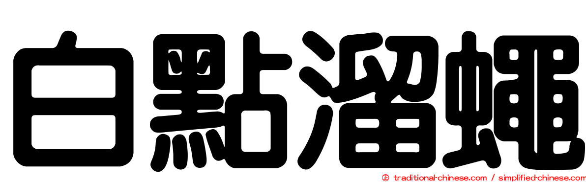 白點溜蠅
