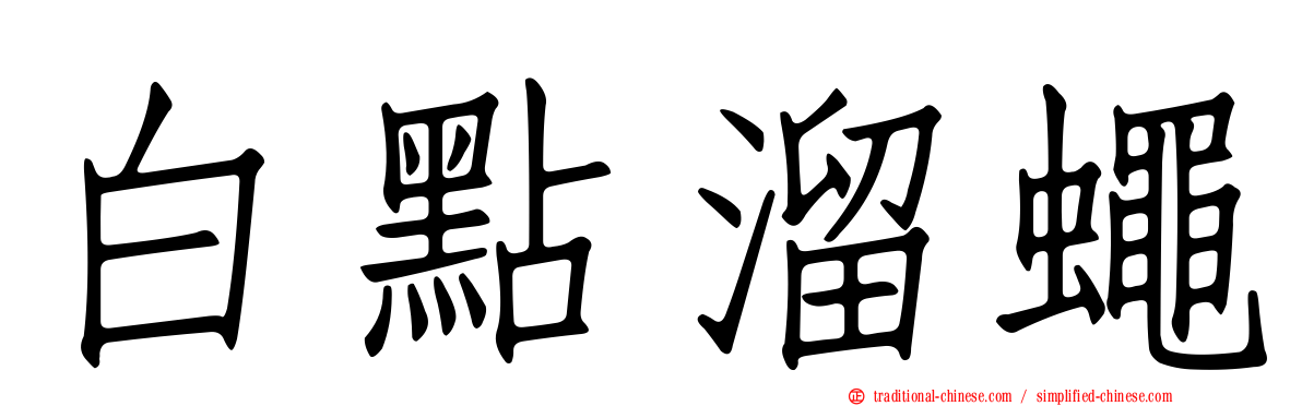 白點溜蠅