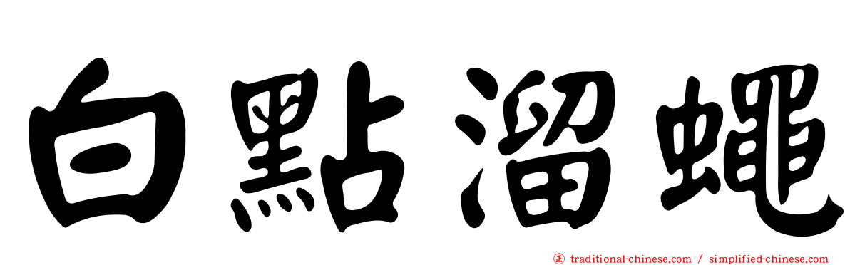 白點溜蠅