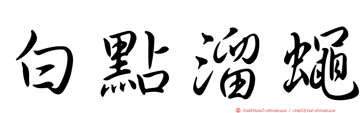 白點溜蠅