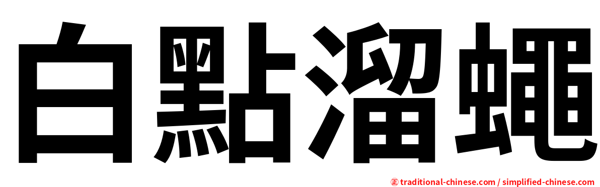 白點溜蠅