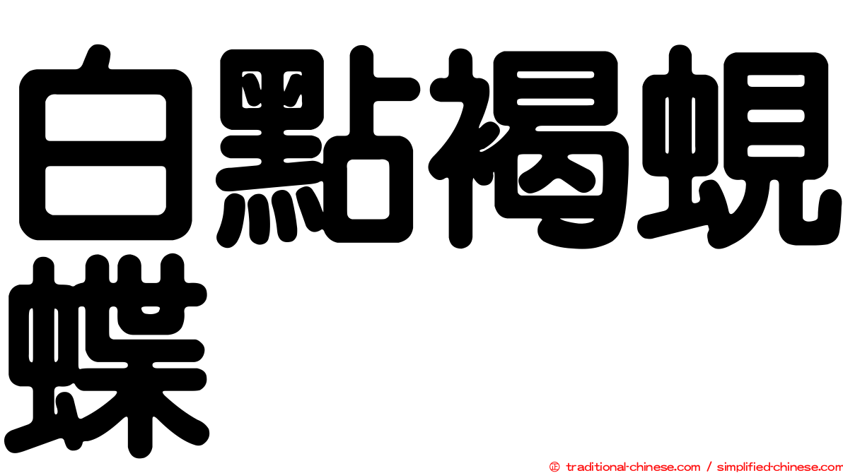 白點褐蜆蝶