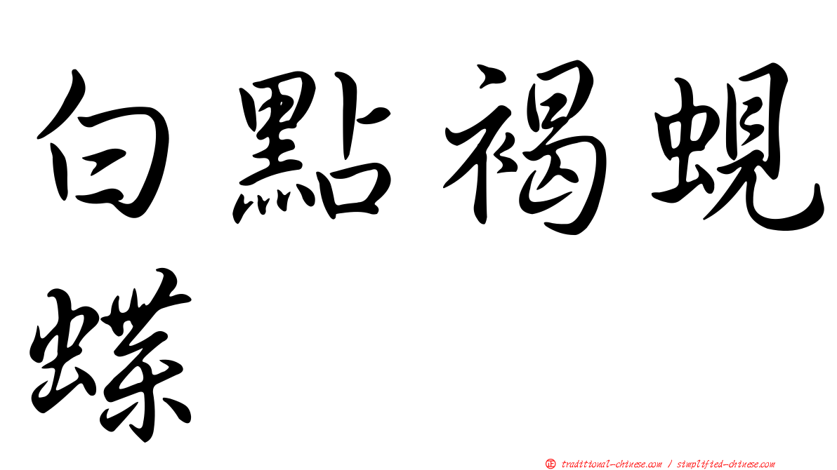白點褐蜆蝶