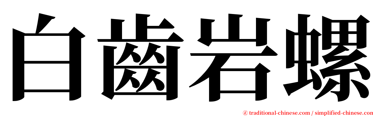 白齒岩螺 serif font