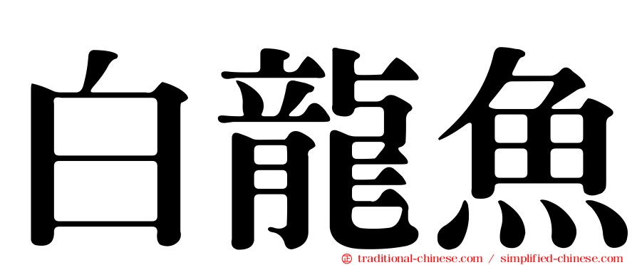 白龍魚