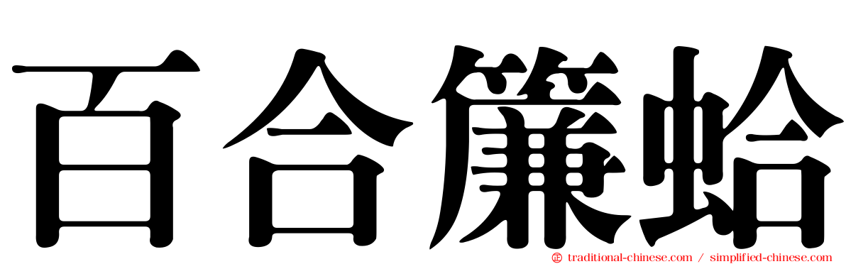 百合簾蛤