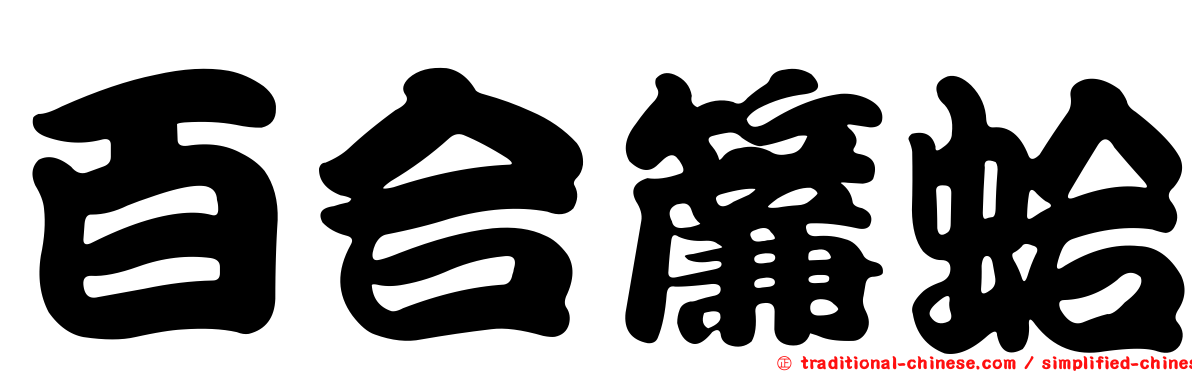 百合簾蛤