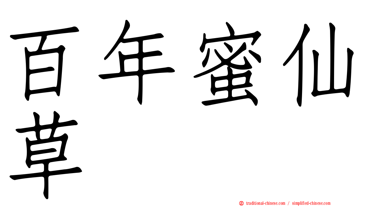 百年蜜仙草