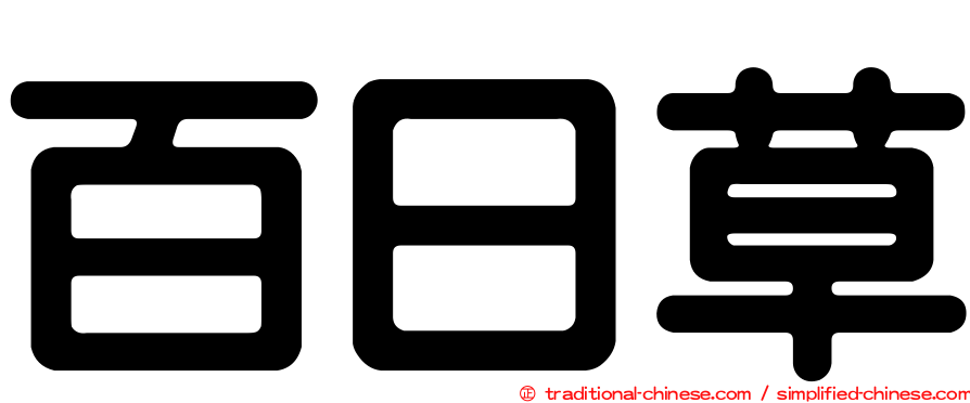 百日草