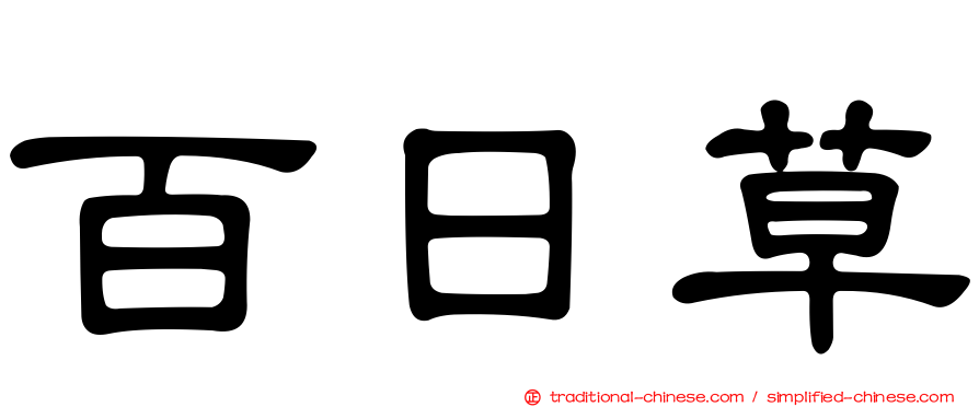 百日草