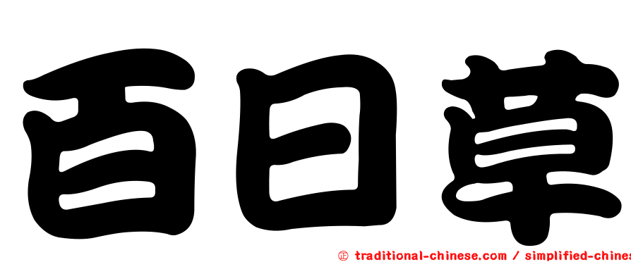 百日草