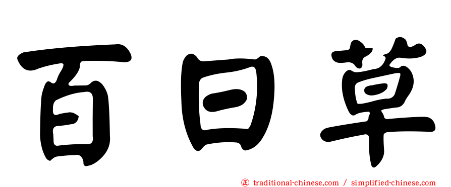 百日草